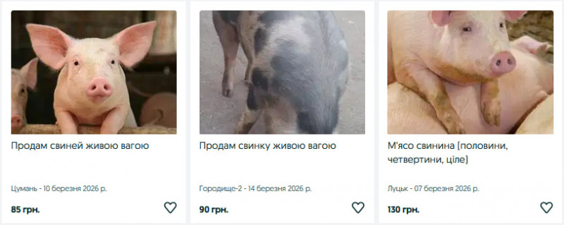 Скільки коштують поросята та свині на Волині?