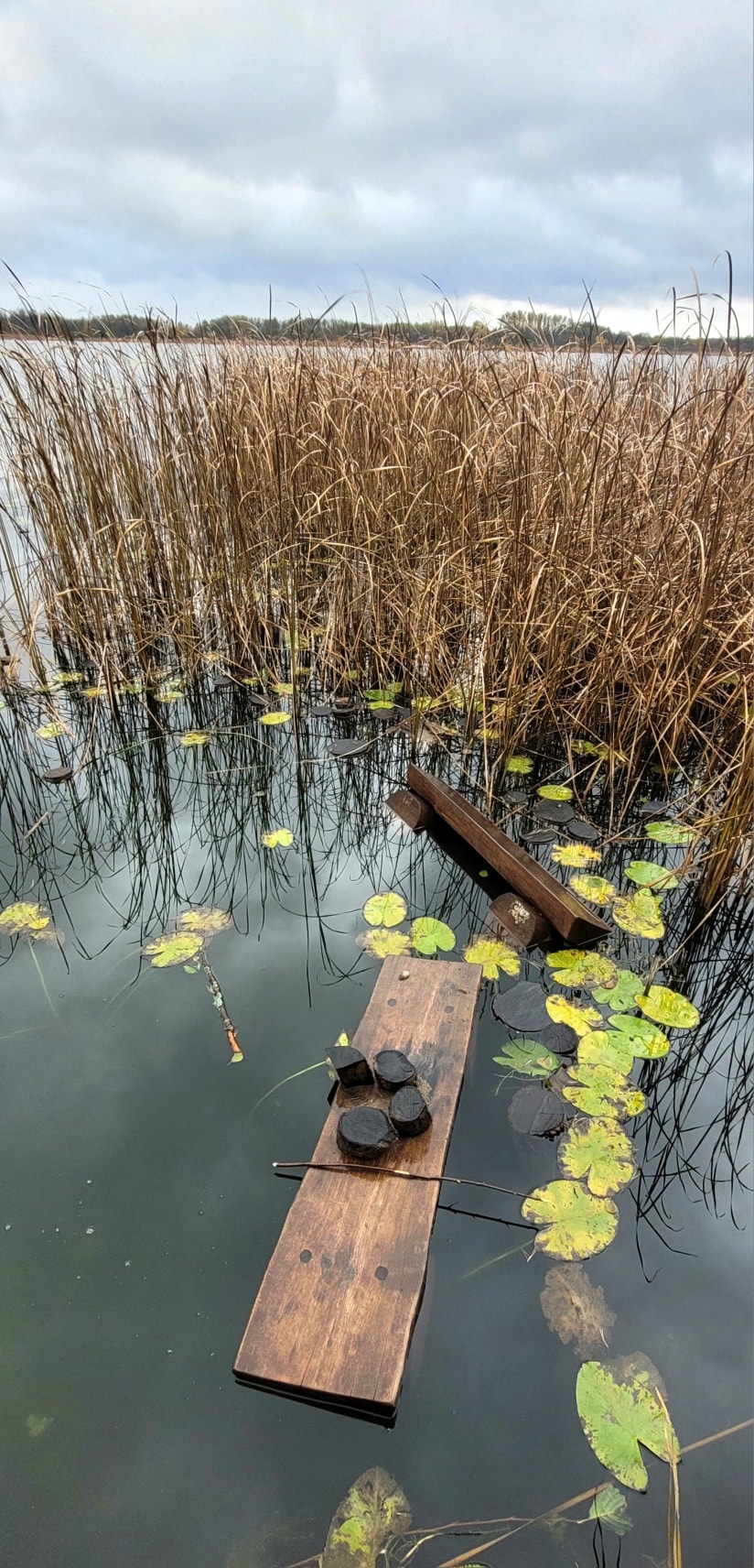 Невідомі понищили екостежку на території волинського нацпарку