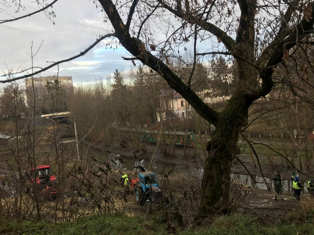 У Луцьку біля дитячої залізниці ріжуть дерева. Причина