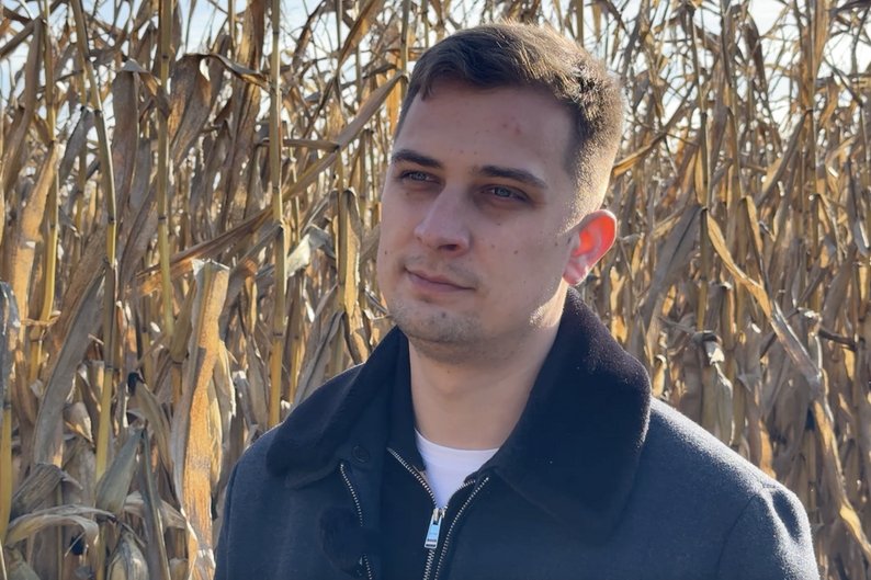 Удвічі більше, ніж торік: як на Волині вродила кукурудза