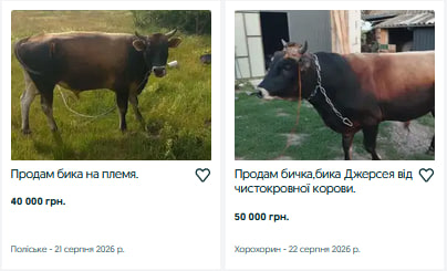 Скільки коштують корови на Волині восени