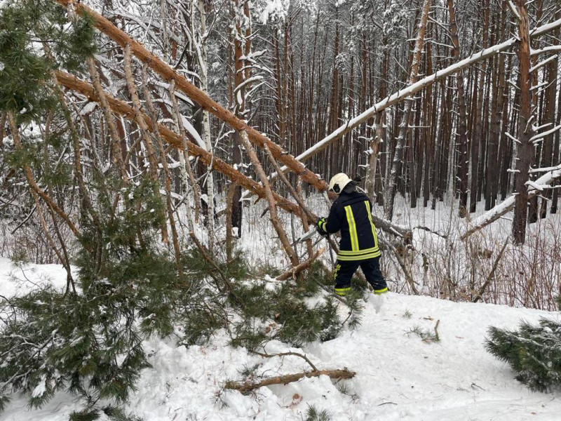 Пожежі, повалені дерева й застряглі авто: рятувальники ліквідували наслідки вогню і негоди на Волині