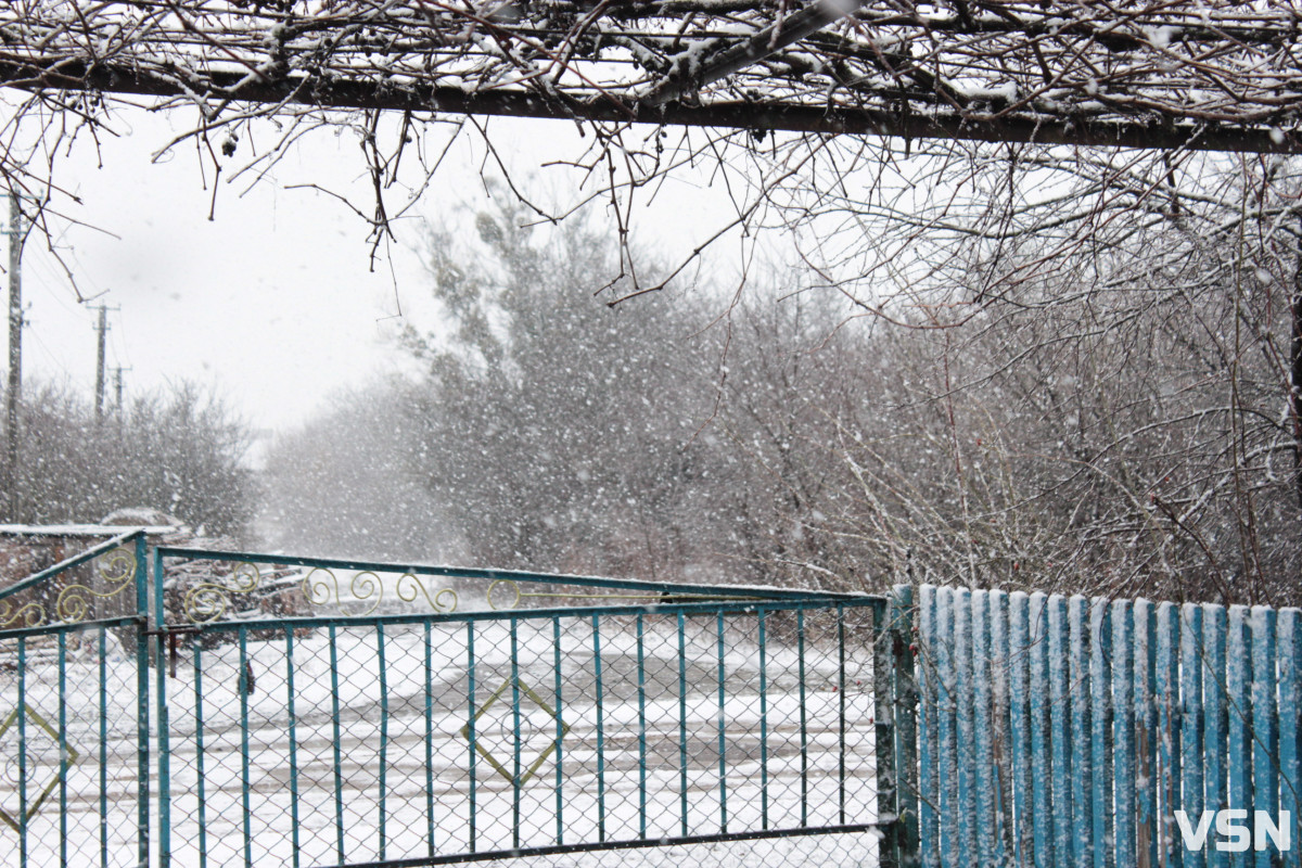 Тунелі у кучугурах та іспити морозом: спогади волинян про справжні поліські зими