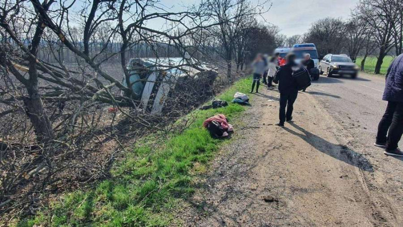У Молдові автобус Кишинів – Київ влетів у дерево та перекинувся: постраждали 5 українців