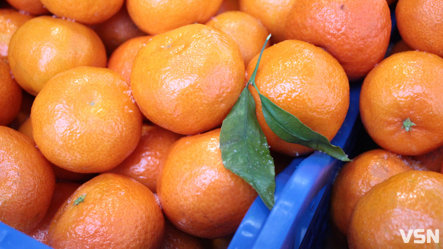 Скільки коштують мандарини на ринку у Луцьку?