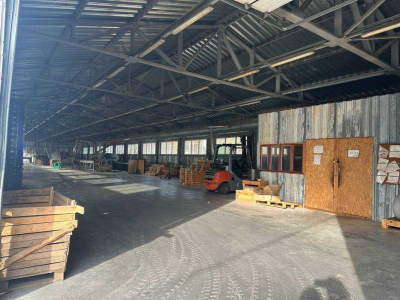 Біля Луцька виставили на продаж деревообробний завод за 28 мільйонів