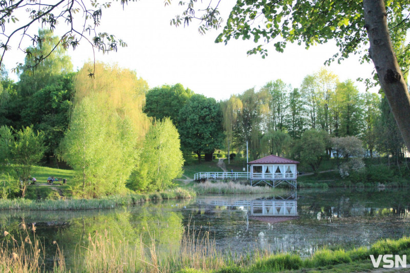 Кліщі на Волині: як вберегтися та що робити при укусі?