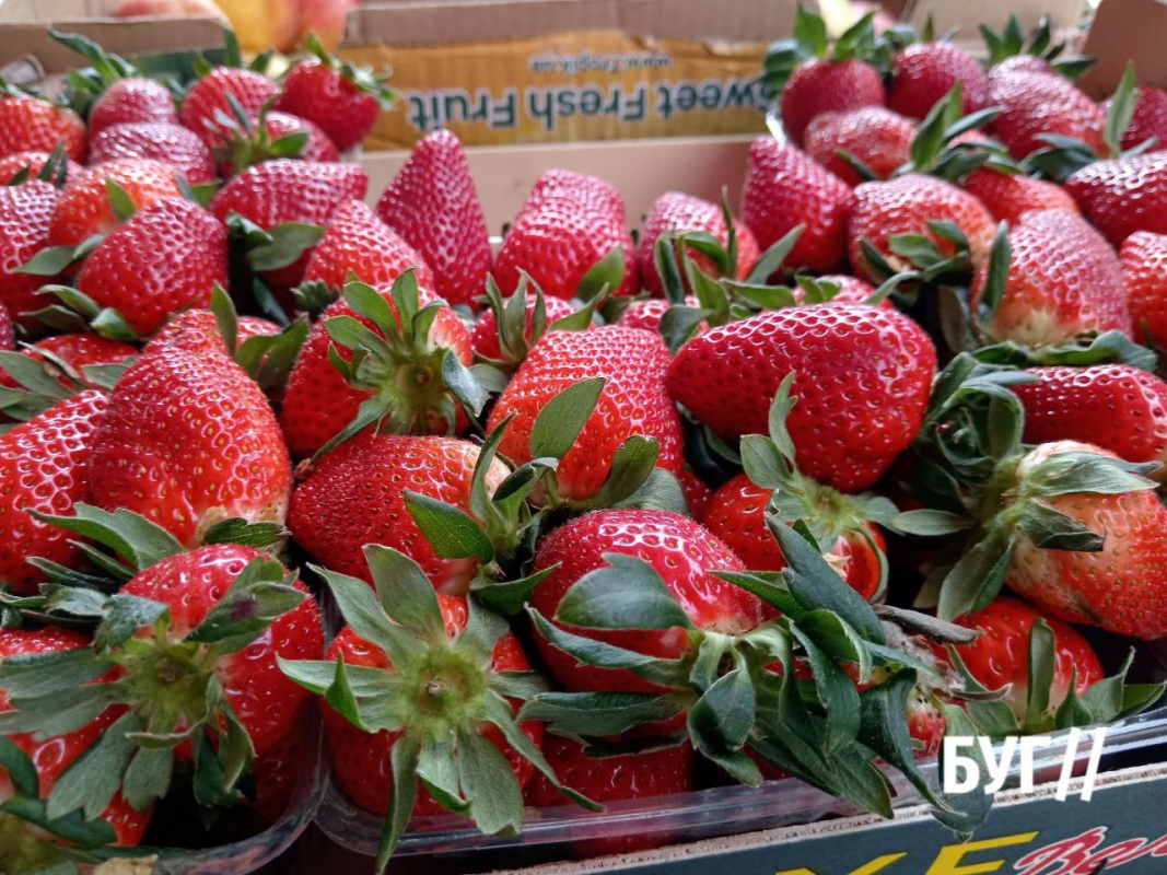Весна вже на ринку: на Волині продають першу полуницю та розсаду — які ціни