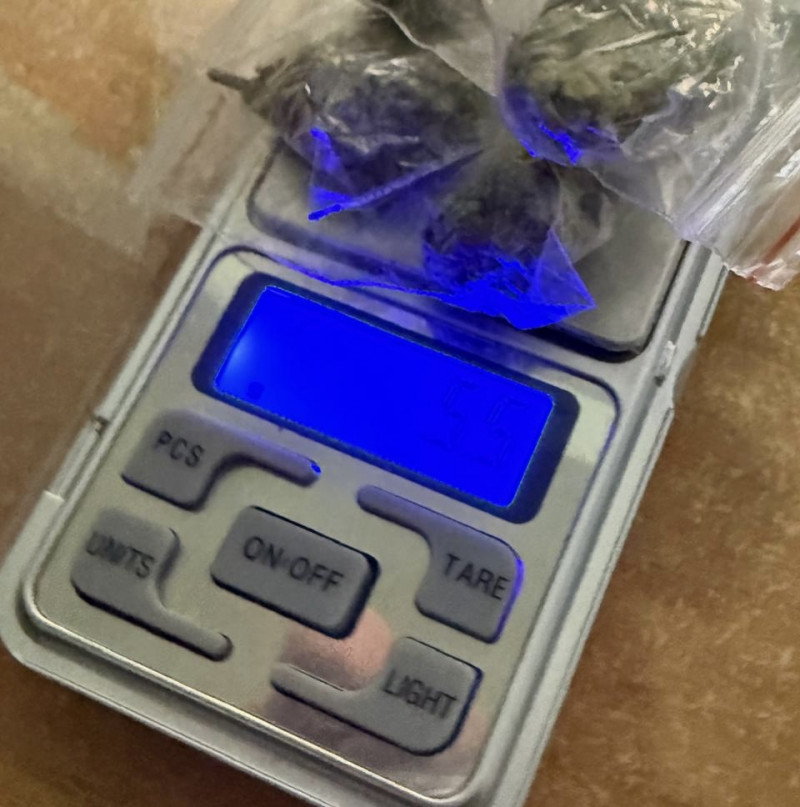 На волинському митному посту «Устилуг» службова лабрадорка винюхала наркотики у газовій плитці