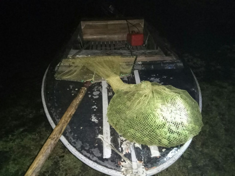 Троє волинян виловили з озера Світязь 5 кілограмів унікальних водоростей Кладофор