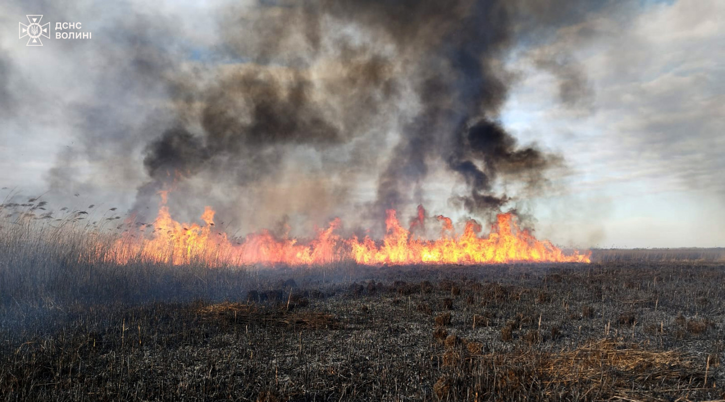 На Волині дві доби ліквідовували масштабну пожежу сухої трави