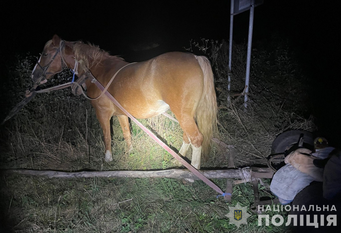 Поблизу Луцька легковик зіткнувся з підводою: серед постраждалих – дитина