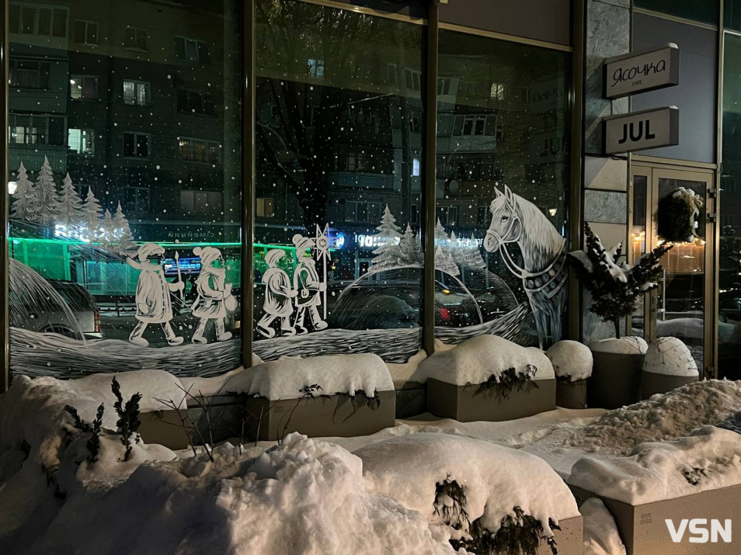 Від перших снігів до лютневих відлиг: якою була зима у Луцьку. Фоторепортаж