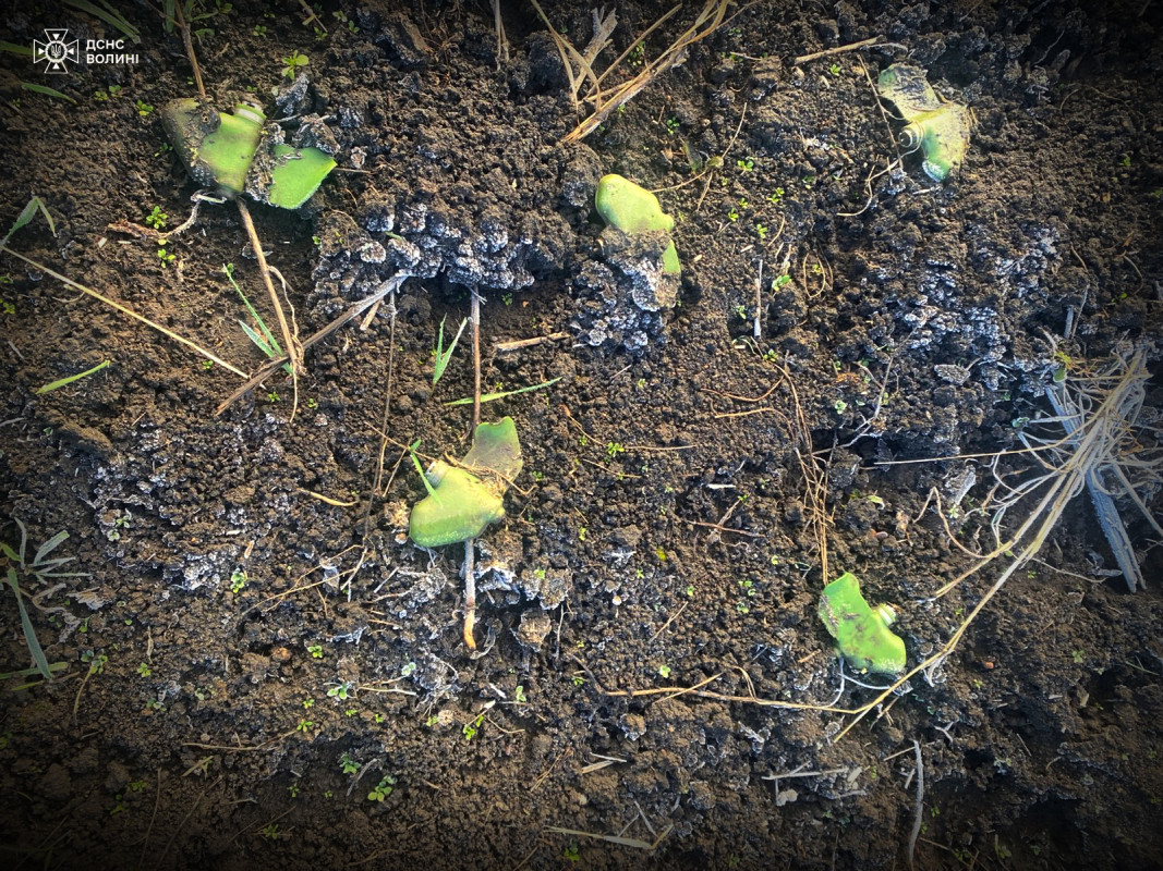 Кожен гектар під контролем: волинські піротехніки розміновують Харківщину