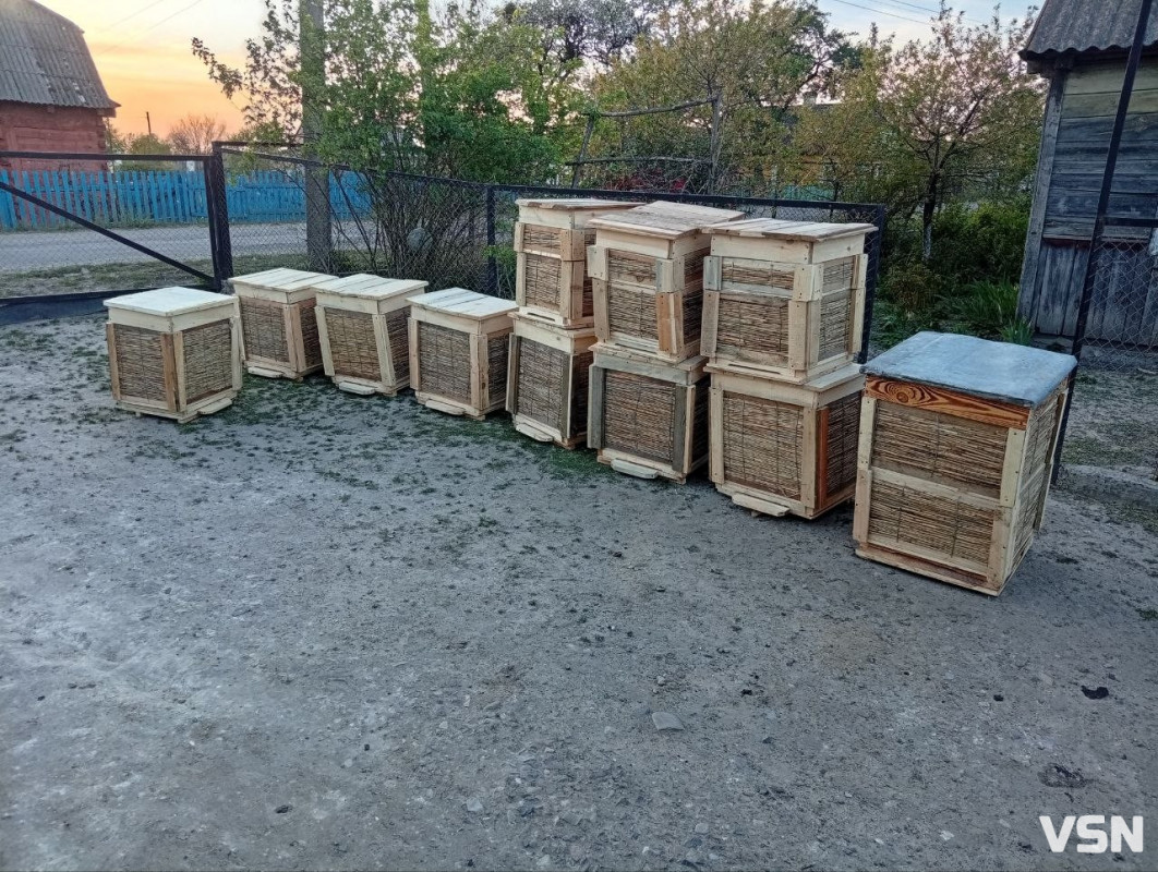 З 12 років біля вуликів: як дев'ятикласник з Волині став господарем пасіки