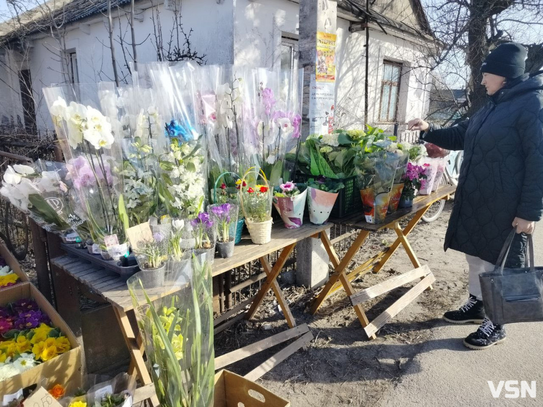 Які ціни на вазони перед 8 березня на ринку в прикордонному містечку на Волині