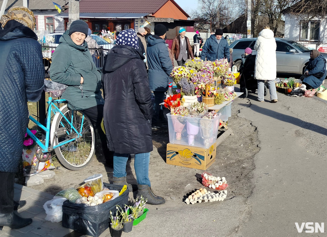 Які ціни на вазони перед 8 березня на ринку в прикордонному містечку на Волині