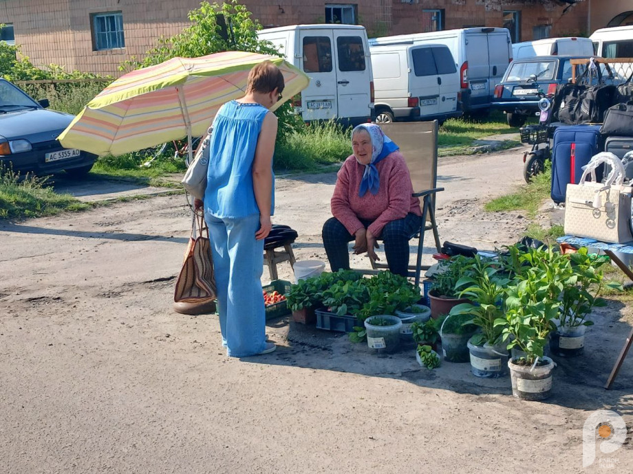 Травневі заморозки зіпсували частину врожаю: скільки коштує домашня полуниця на Волині