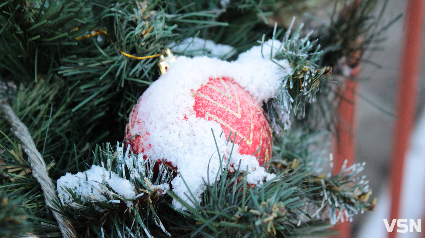 Засніжений Луцьк: як виглядають парки та двори міста взимку напередодні Нового 2026 року. Фоторепортаж