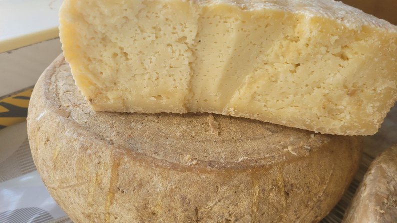 Волинянин має 130 кіз, випасає їх в електроогорожі та разом з дружиною щодня доять тварин. Відео