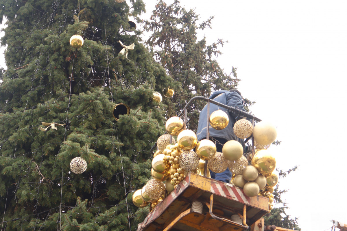 Луцьк в очікуванні свята: ялинки прикрашені, місто готується до Різдва