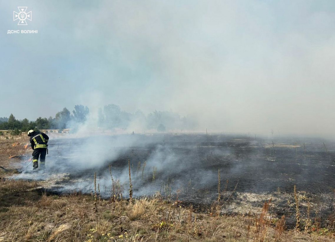 7 пожеж та 11 штрафів: на Волині масово карають паліїв сухостою