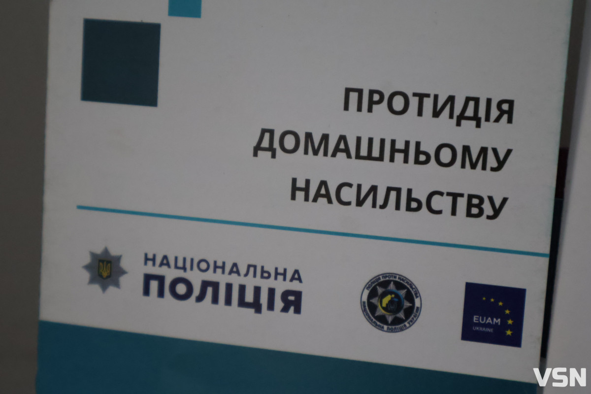 Вберегти життя та покарати винних: як у Луцьку працюють із домашнім насильством