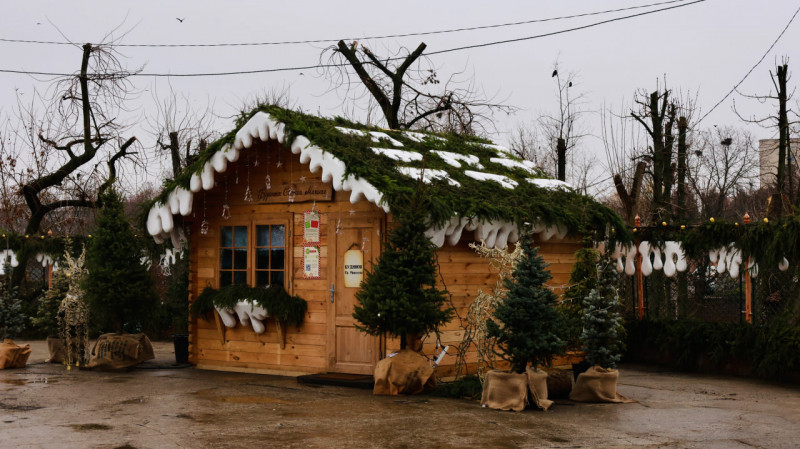 Туман і мжичка у грудні: волинське місто зустрічає зиму в осінньому настрої