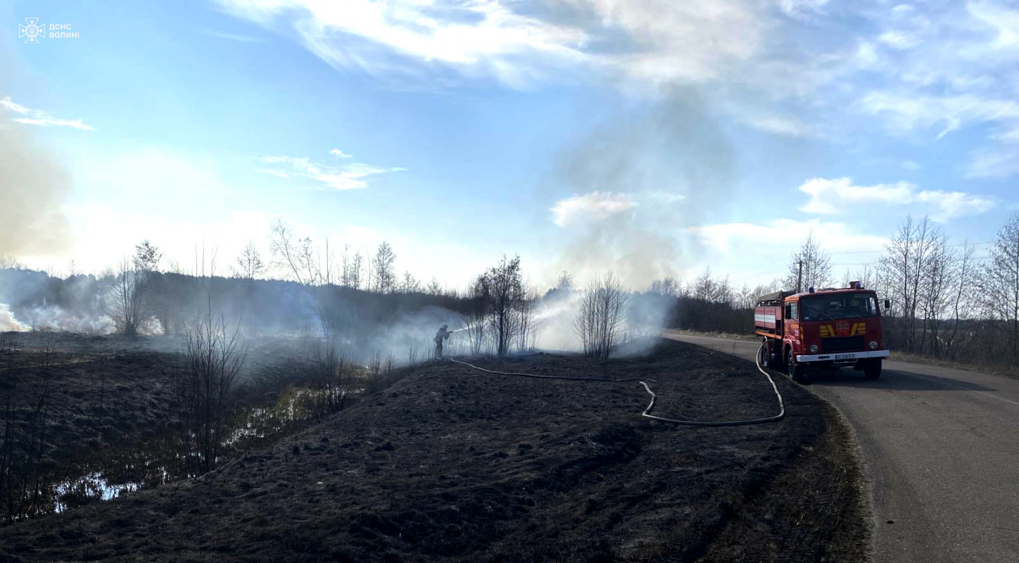 Вигоріло понад 50 гектарів: на Волині за добу ліквідували 28 пожеж