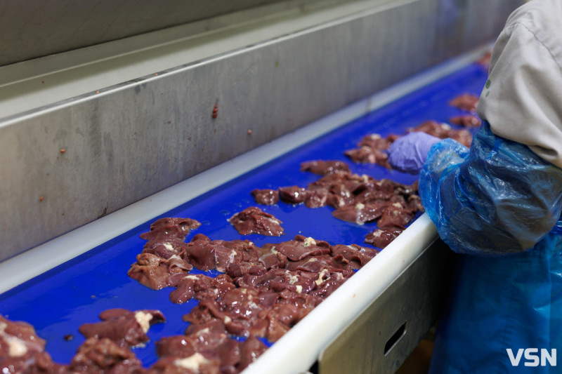 Від забою до прилавка: як на Волині перевіряють м’ясо та хто відповідає за його безпечність