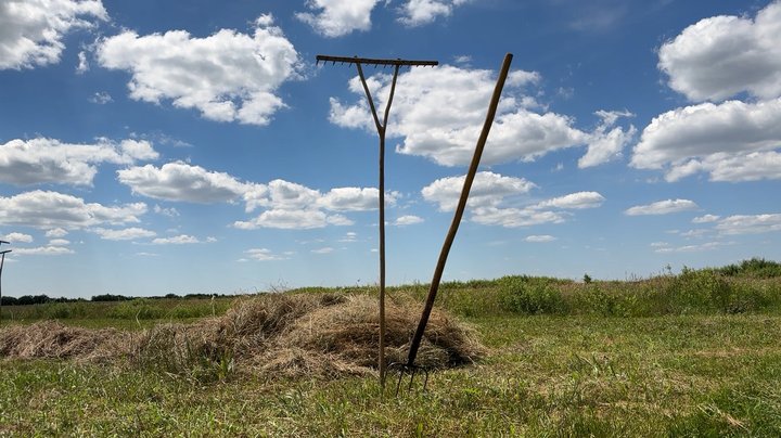 Сінокос по-волинськи: з дідівською косою, обідом у затінку та спогадами про поліські болота
