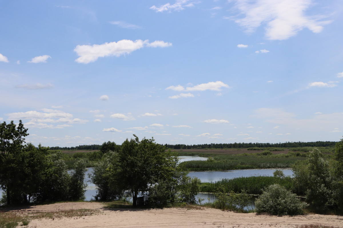 Місце, де зупинився час: де на Волині дике поліське село без цивілізації