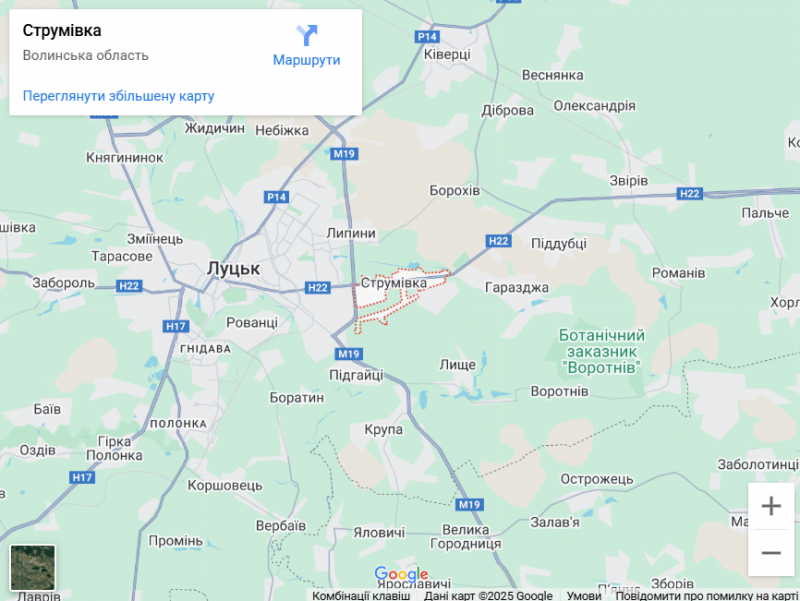 Чорна лисичка на Волині: грибники знайшли рідкісний делікатес