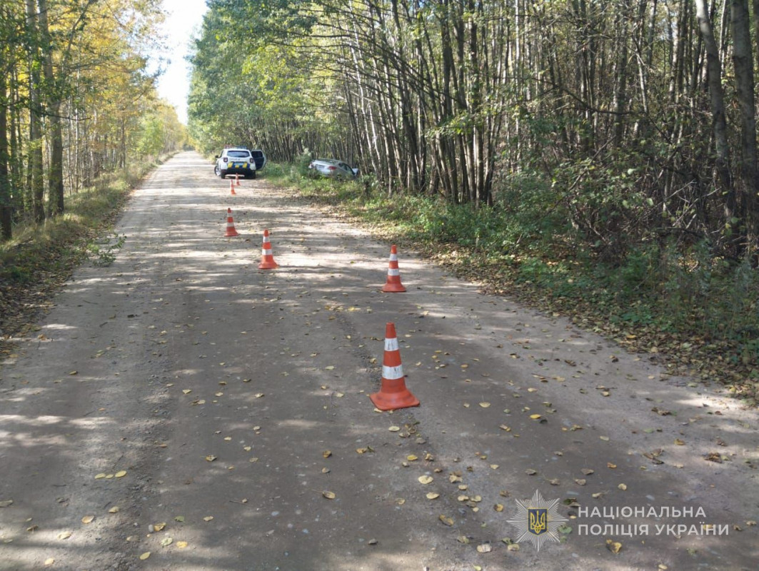 На Волині водій Hundai зʼїхав у кювет та зіткнувся із придорожнім деревом, постраждала пасажирка