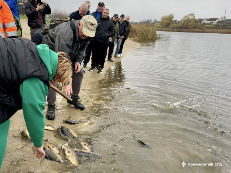 В озеро на Волині запустили майже пів тонни риби