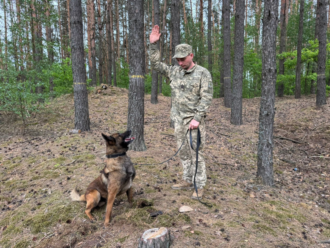 Від дитячої мрії до служби на кордоні: історія кінолога з Волині Ігоря Домальчука