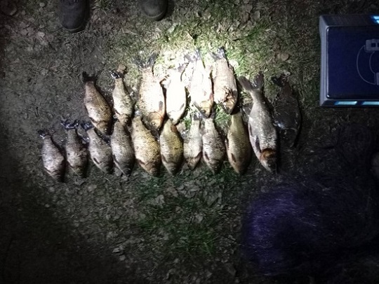 На Волині спіймали браконьєра з сітками та незаконним уловом на понад 31 тисячу гривень