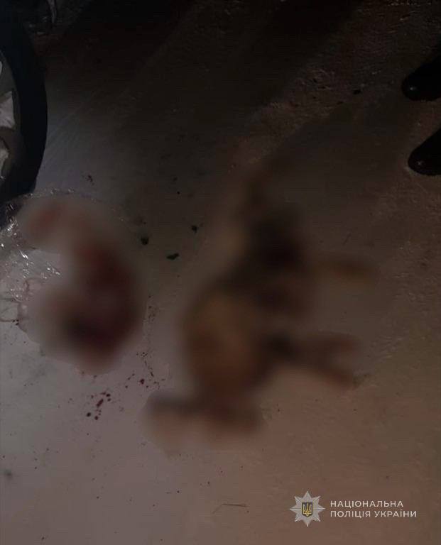 Волинянин незаконно вбив зайця й козу і вирішив відкупитись