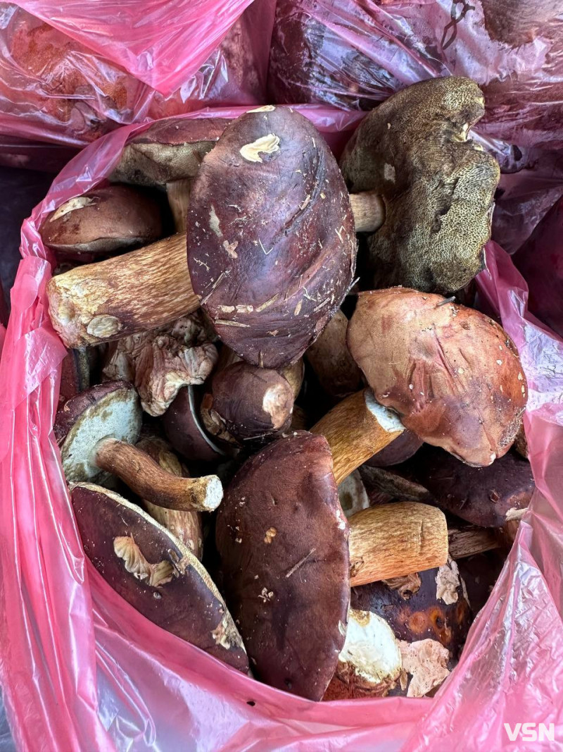 Скільки у Луцьку коштують лісові гриби на ринку