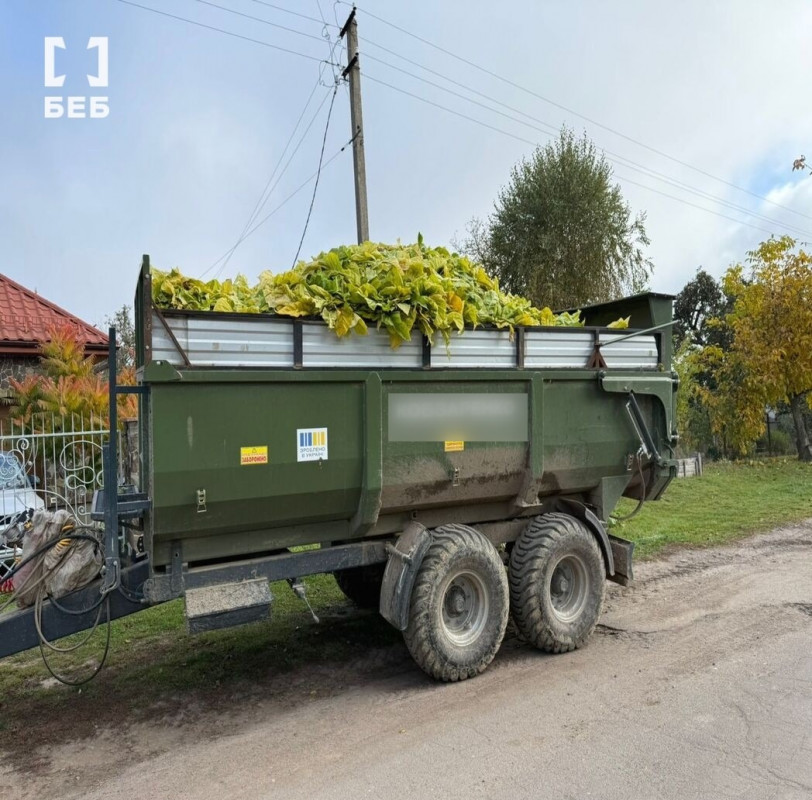 Промислові масштаби й збитки на 5 млн грн: на Волині ліквідували тіньове виробництво тютюну