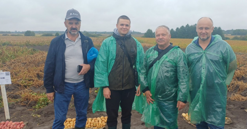 Луцький університет і фермерське господарство створюють лабораторію для вирощування безвірусної картоплі