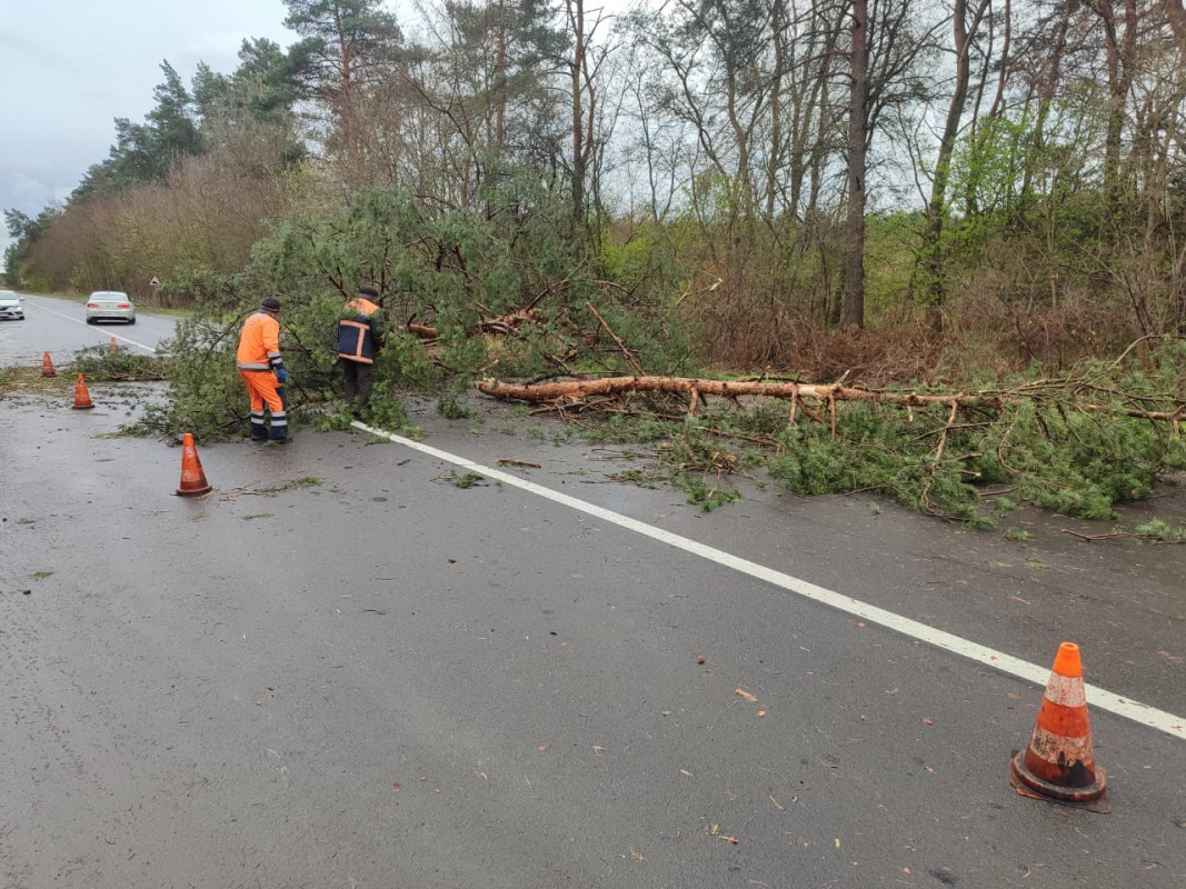На Волині буревій пошкодив дах ліцею та повалив дерева