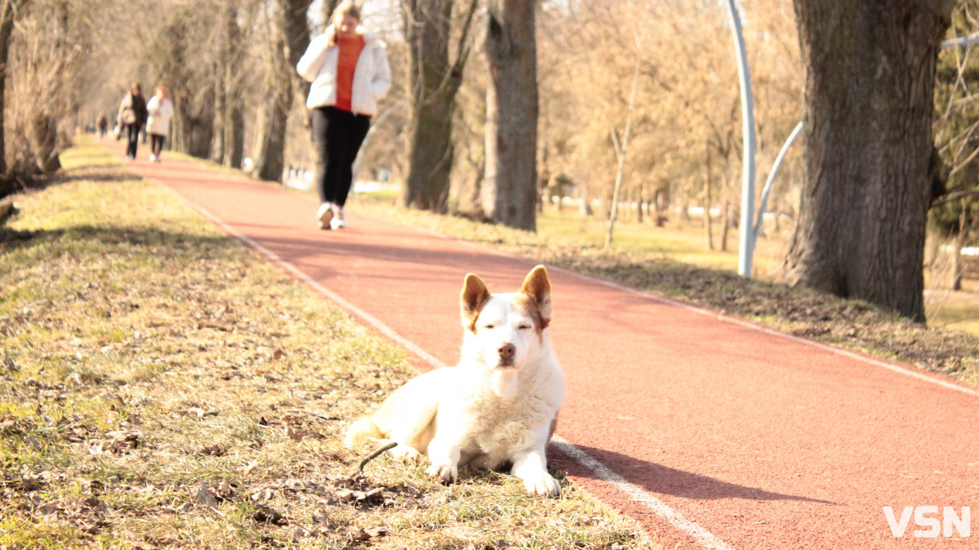 Весна у Луцьку: фоторепортаж із парку імені Лесі Українки