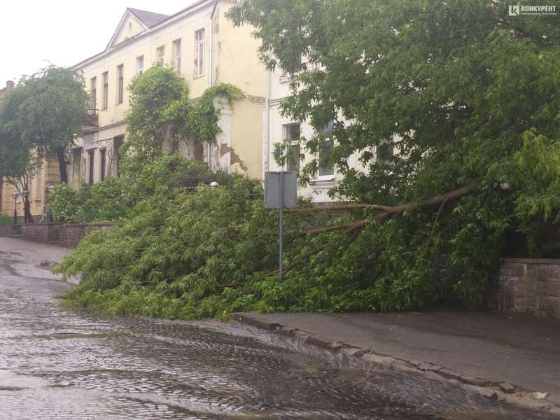 Попадало все: наслідки негоди у Луцьку