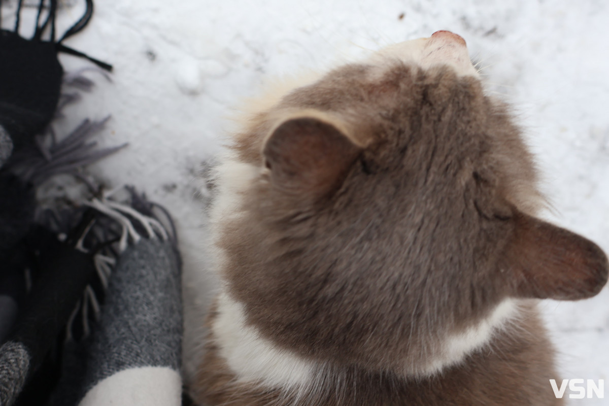 Як живе Луцький зоопарк взимку. Фоторепортаж