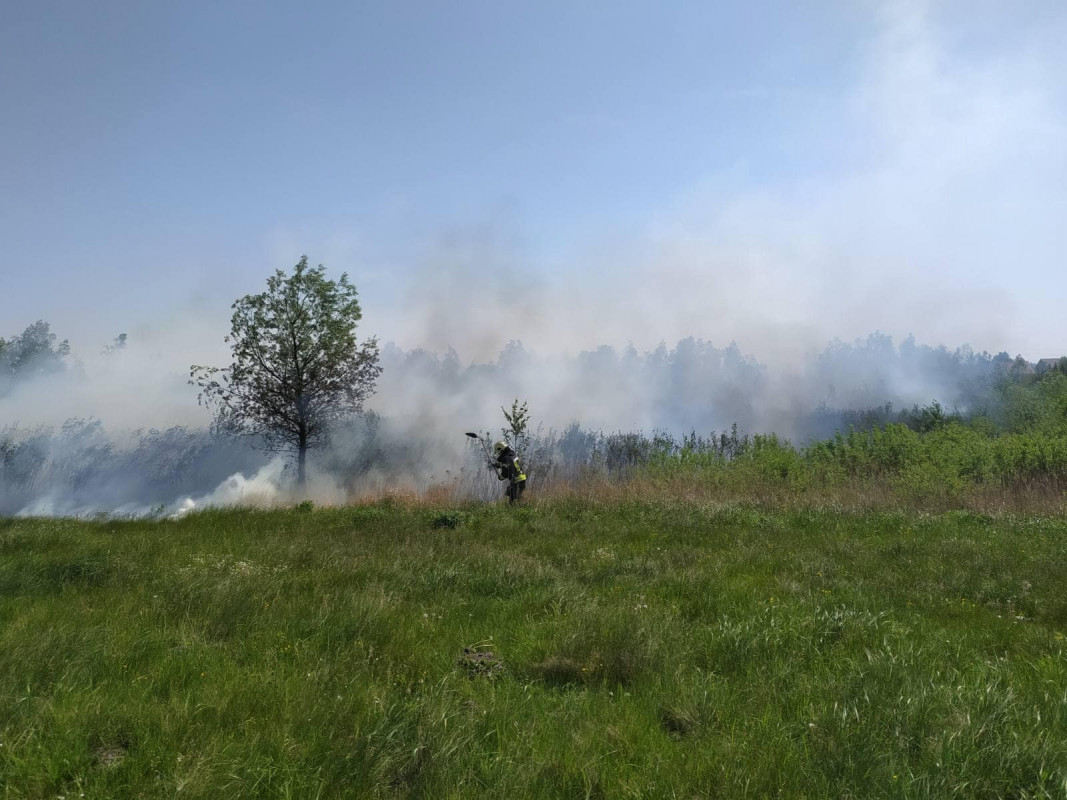 У Луцькому районі згоріло два гектари поля: правоохоронці шукають палія