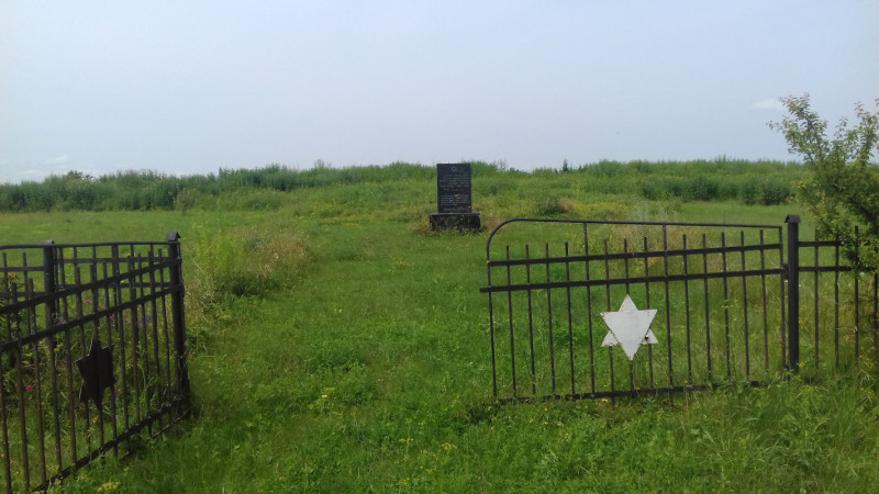 Куди поїхати на Волині на вихідні: замки, музеї та природні локації