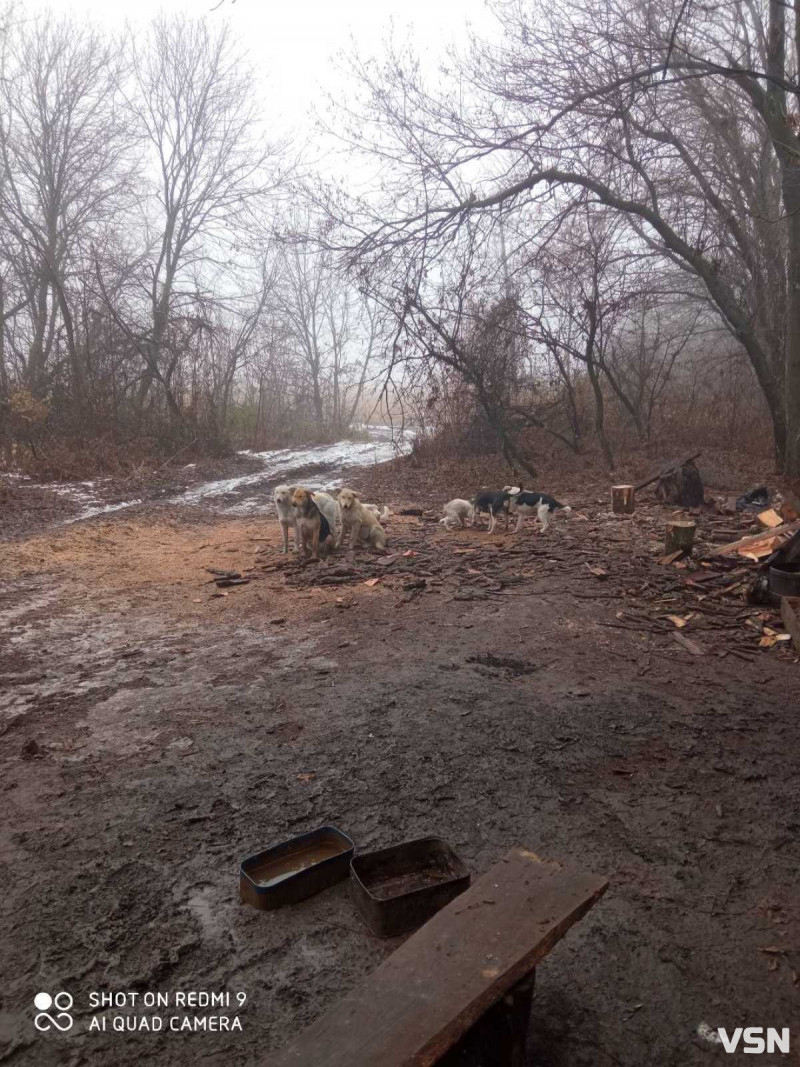 Виносила з поля бою не лише поранених, а й полеглих. Спогади про бойову медикиню з Волині