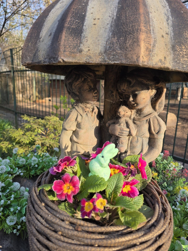 Які ціни на квитки до Луцького зоопарку у 2026 році