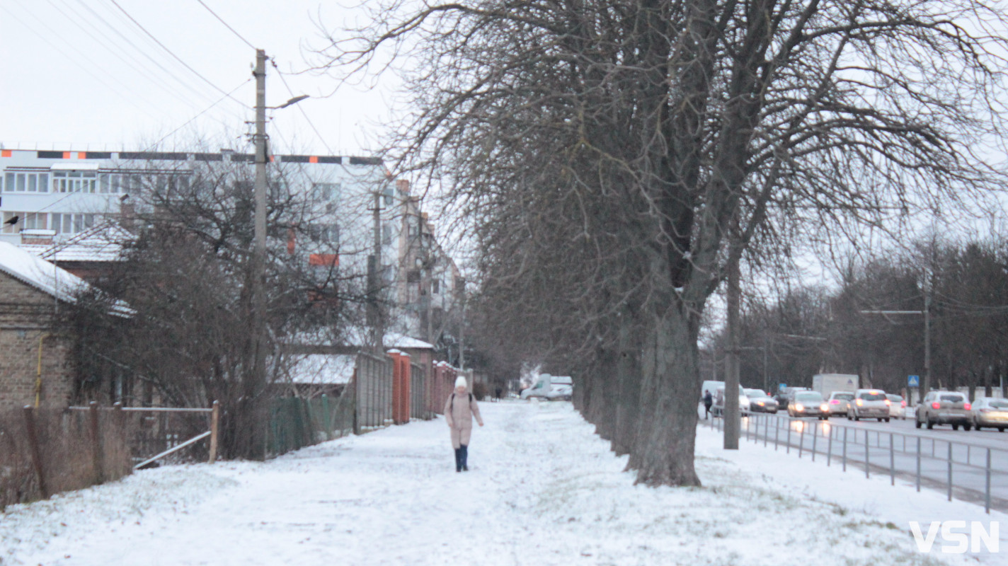 Засніжений Луцьк: як виглядають парки та двори міста взимку напередодні Нового 2026 року. Фоторепортаж
